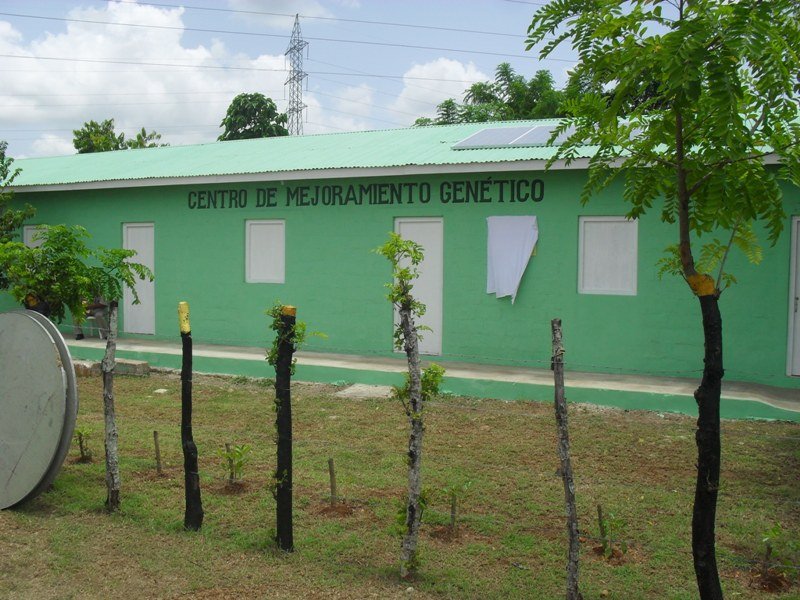 Centro de Mejoramiento Genético